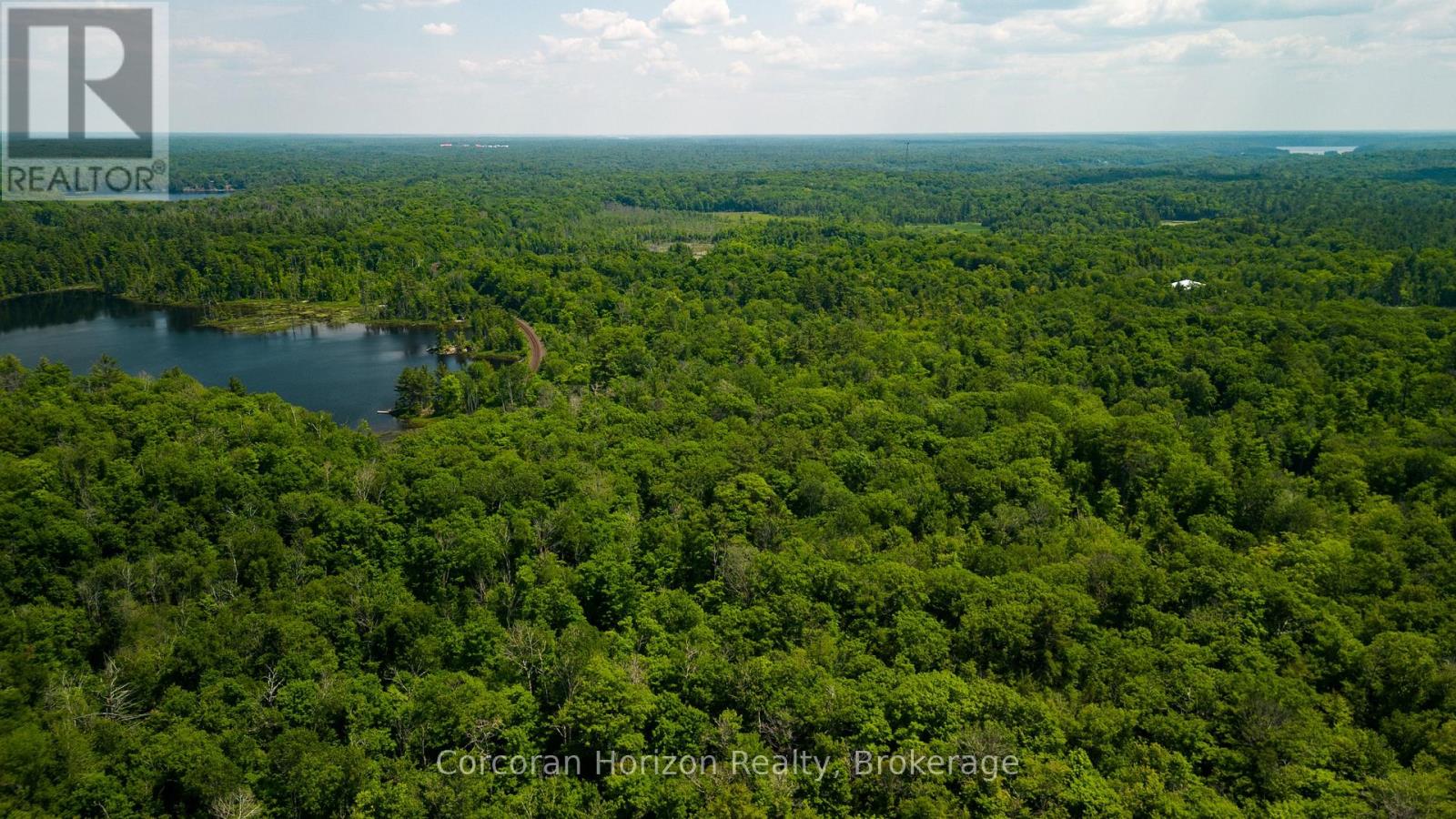102 Black Road, Seguin, Ontario P2A 0B2 - Photo 7 - X12719718