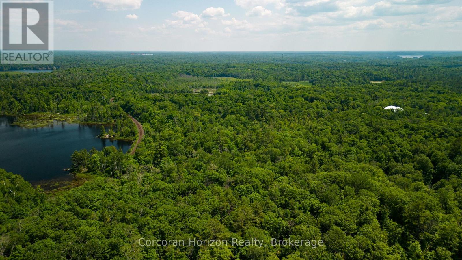 102 Black Road, Seguin, Ontario P2A 0B2 - Photo 8 - X12719718