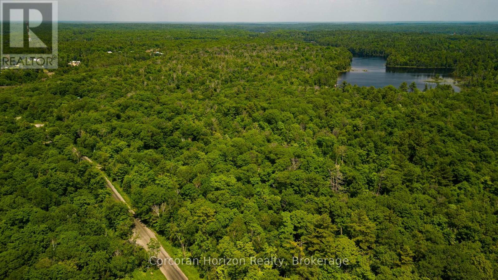 102 Black Road, Seguin, Ontario P2A 0B2 - Photo 9 - X12719718
