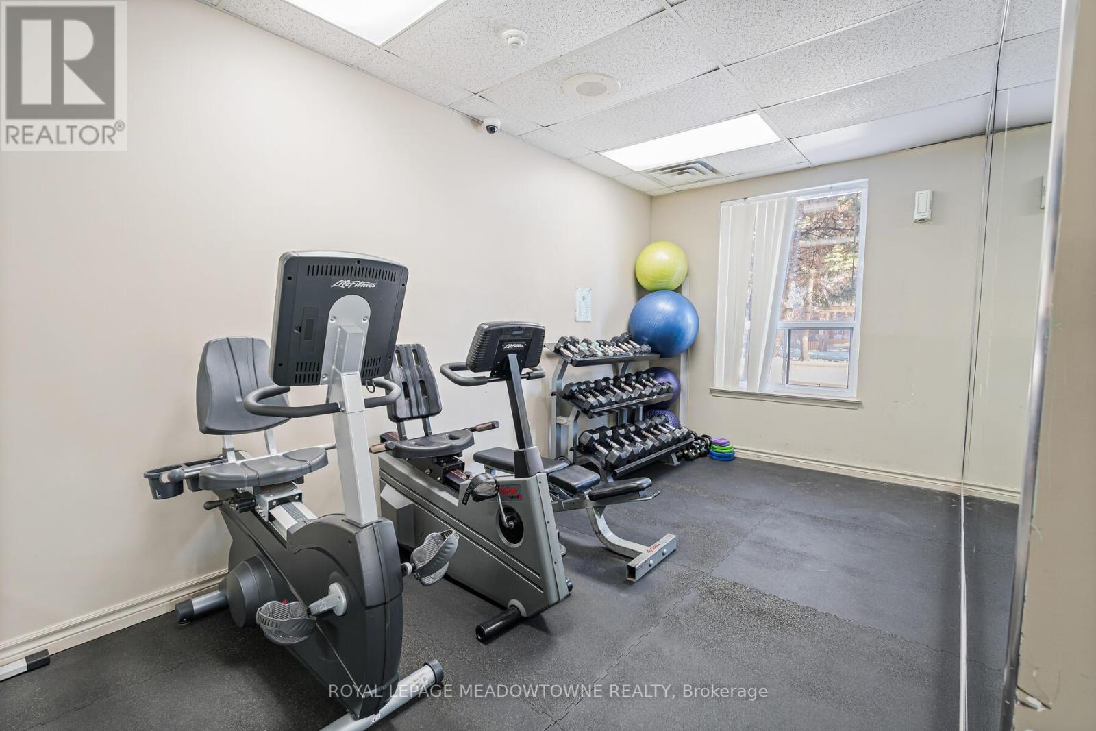 2015 - 135 Hillcrest Avenue, Mississauga, Ontario  L5B 4B1 - Photo 31 - W12719744