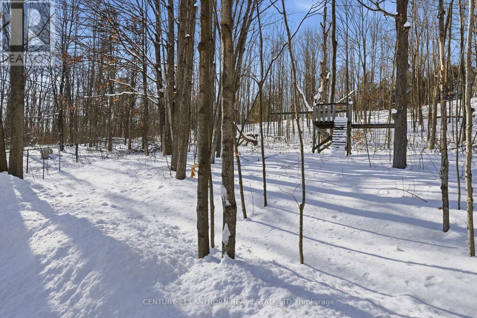 237 Beatty Road, Belleville, Ontario  K0K 3E0 - Photo 46 - X12719998