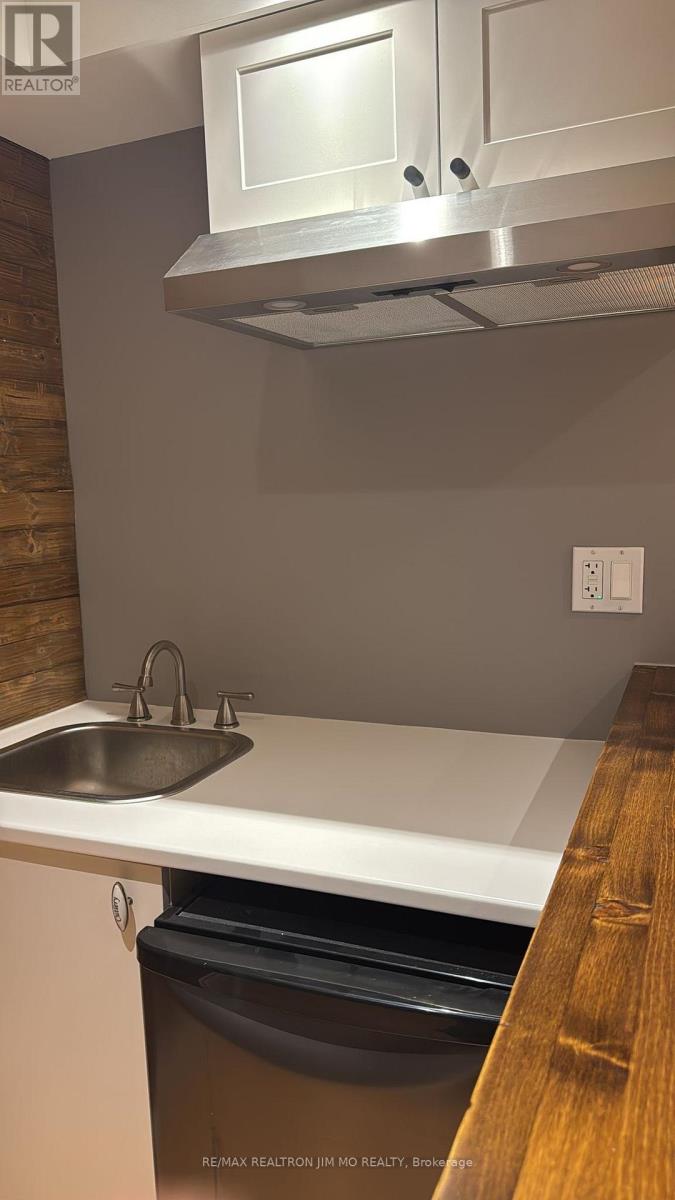 Basement - 50 Reginald Crescent, Markham, Ontario  L3P 3T7 - Photo 3 - N12719952