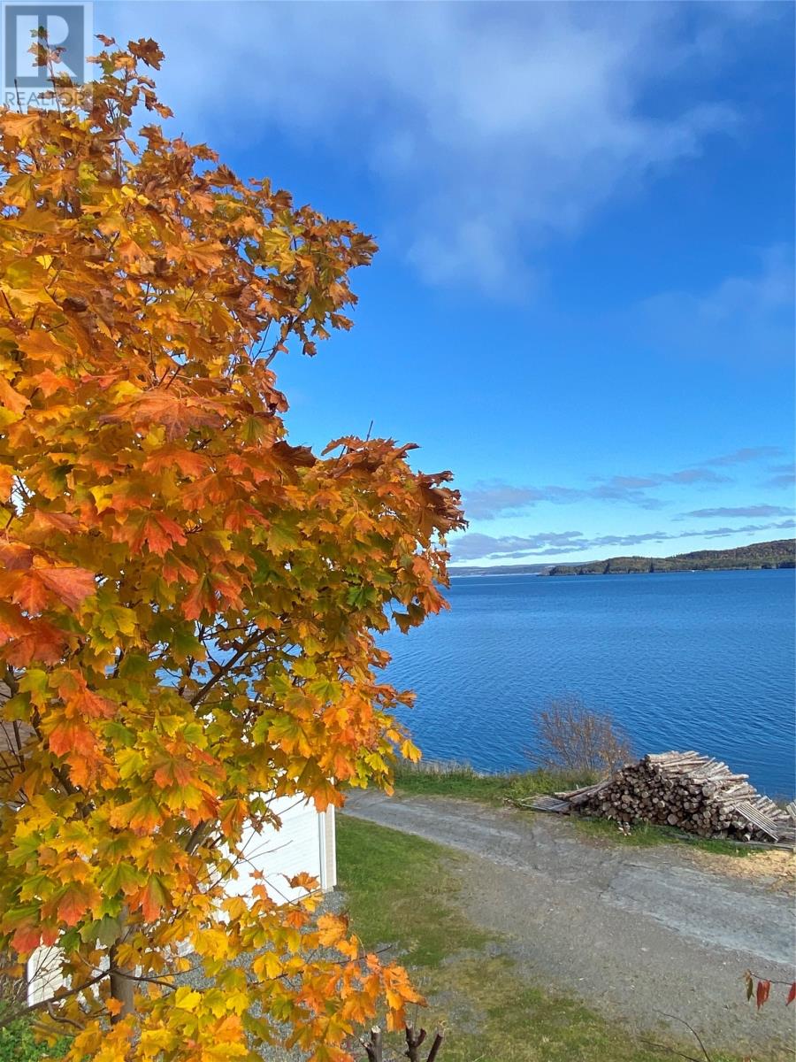 176 Main Road, Normans Cove, Newfoundland & Labrador  A0B 2T0 - Photo 28 - 1293987