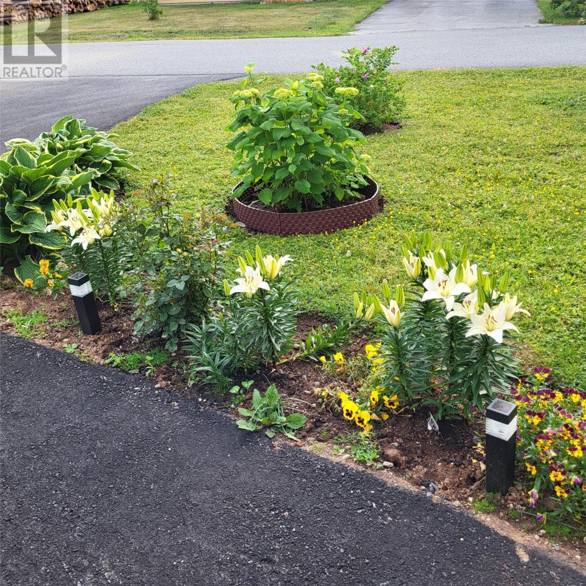 20 Second Avenue, Pasadena, Newfoundland & Labrador  A0L 1K0 - Photo 21 - 1293881