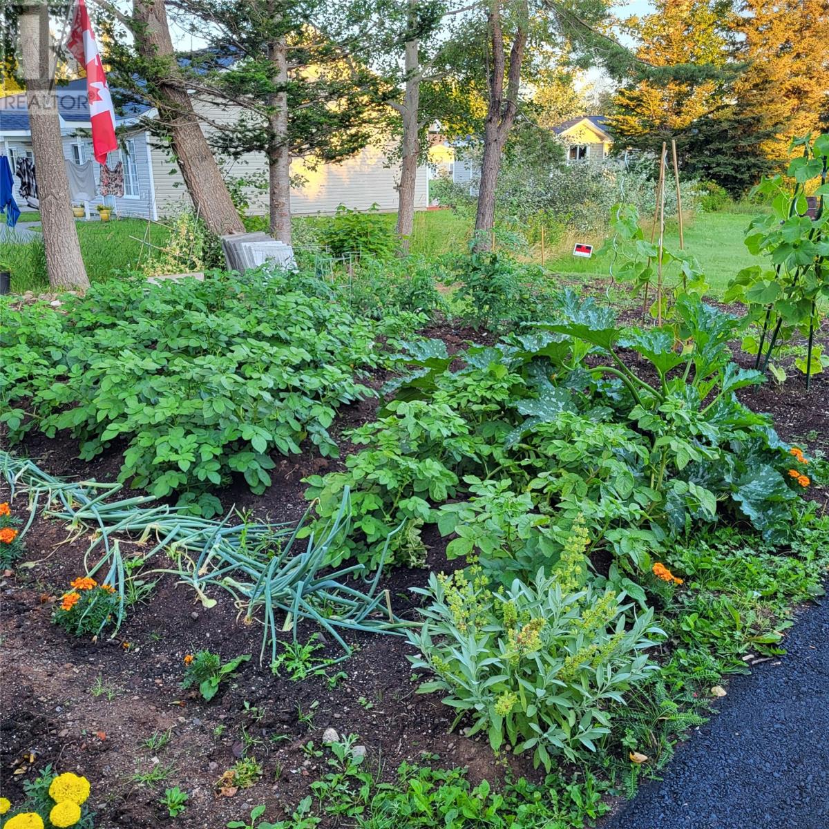 20 Second Avenue, Pasadena, Newfoundland & Labrador  A0L 1K0 - Photo 23 - 1293881