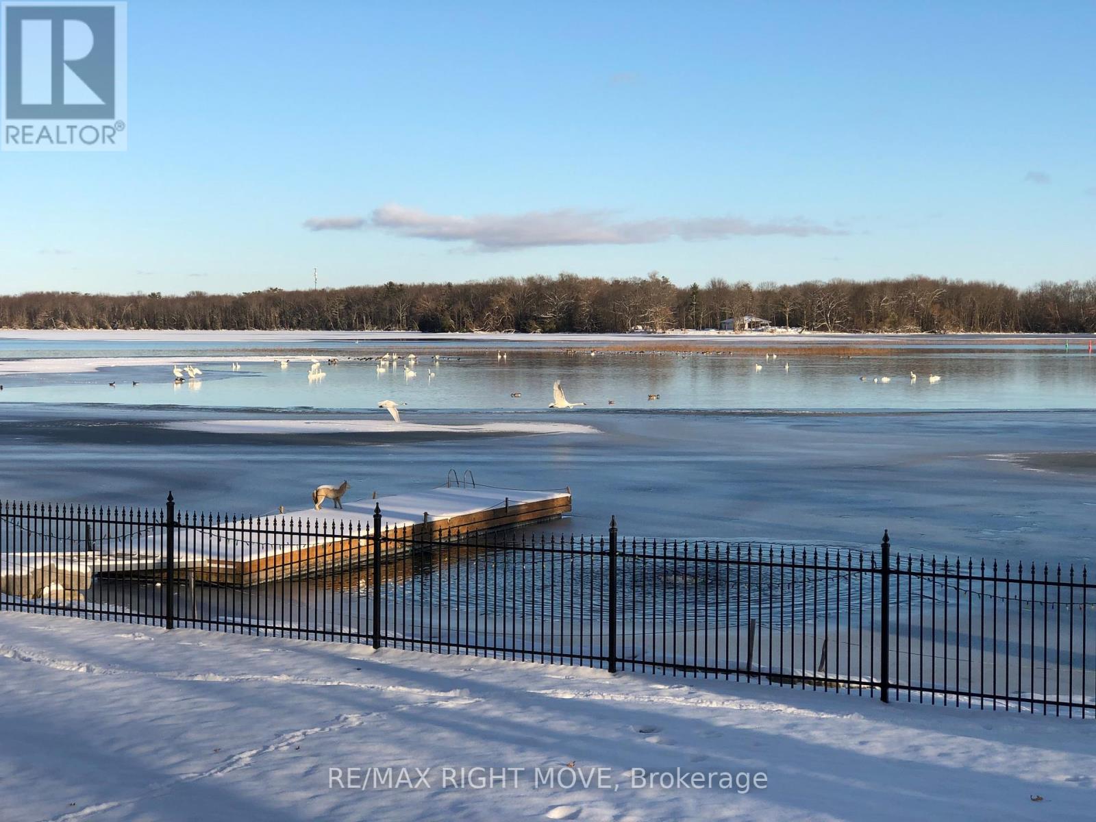 661 Glen Crescent, Orillia, Ontario  L3V 6R2 - Photo 44 - S12719798