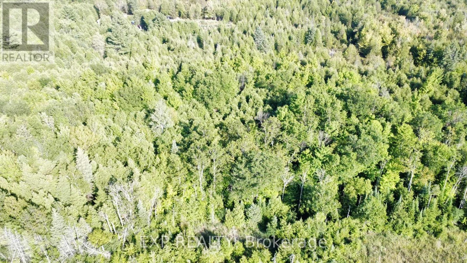 2822 Shannon Road, Tyendinaga, Ontario  K0K 3A0 - Photo 3 - X12720212