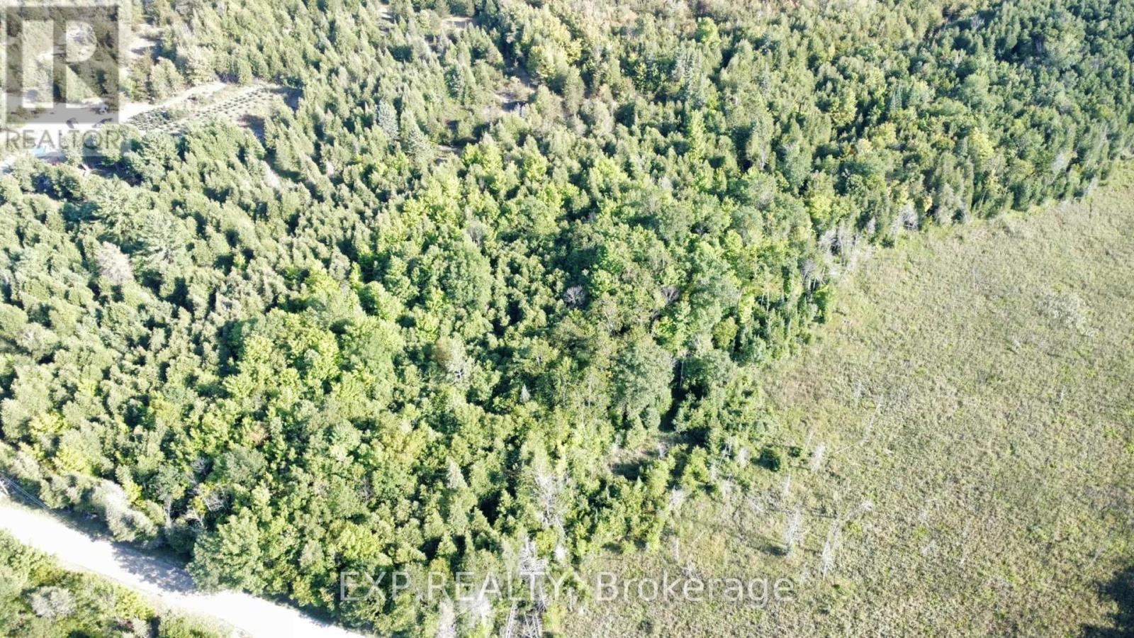 2822 Shannon Road, Tyendinaga, Ontario  K0K 3A0 - Photo 4 - X12720212