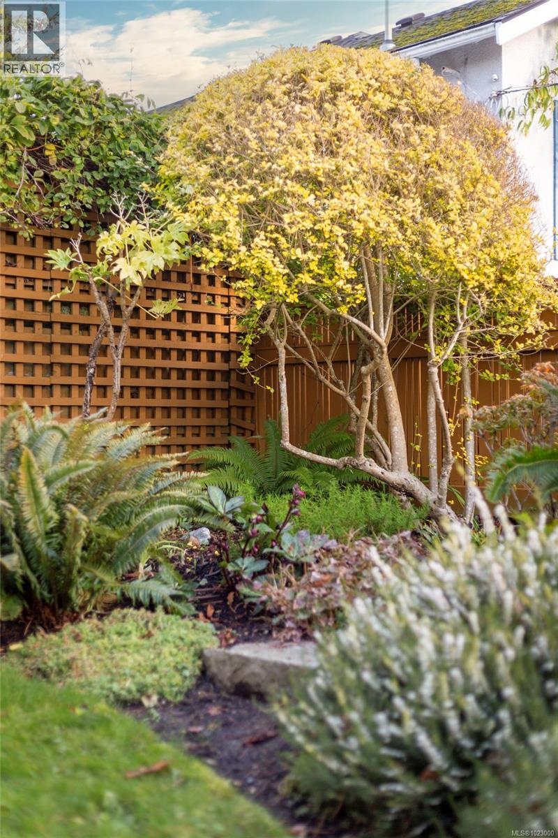 295 St. Charles St, Victoria, British Columbia  V8S 3M9 - Photo 33 - 1023000