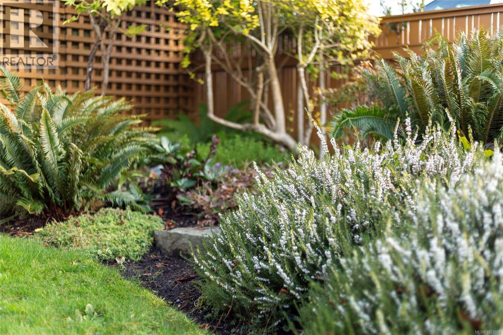 295 St. Charles St, Victoria, British Columbia  V8S 3M9 - Photo 42 - 1023000