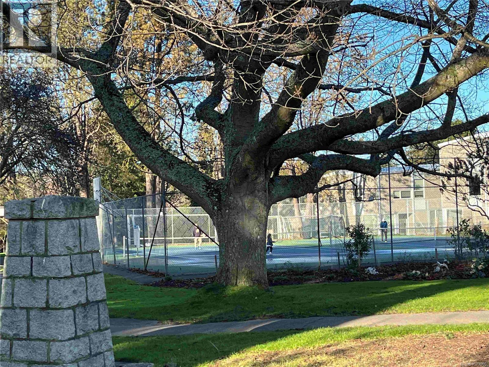 295 St. Charles St, Victoria, British Columbia  V8S 3M9 - Photo 61 - 1023000