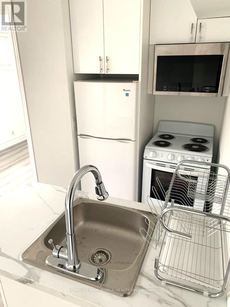 Basement A - 36 Silverview Drive, Toronto, Ontario  M2M 2B3 - Photo 6 - C12720210