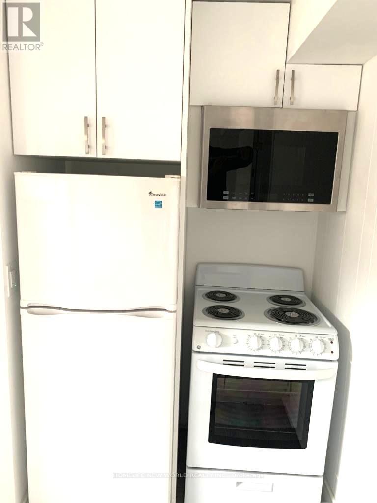 Basement A - 36 Silverview Drive, Toronto, Ontario  M2M 2B3 - Photo 7 - C12720210