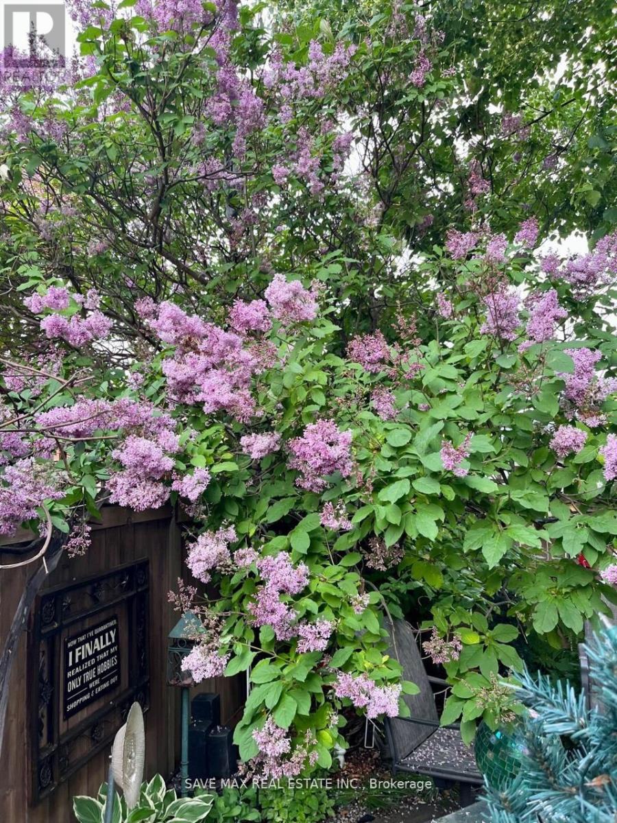 13 Pressed Brick Drive, Brampton, Ontario  L6V 4K8 - Photo 39 - W12720184