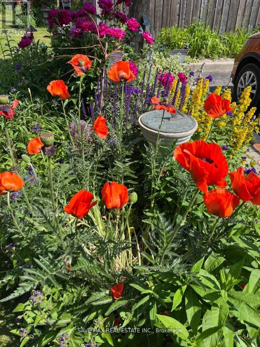 13 Pressed Brick Drive, Brampton, Ontario  L6V 4K8 - Photo 45 - W12720184