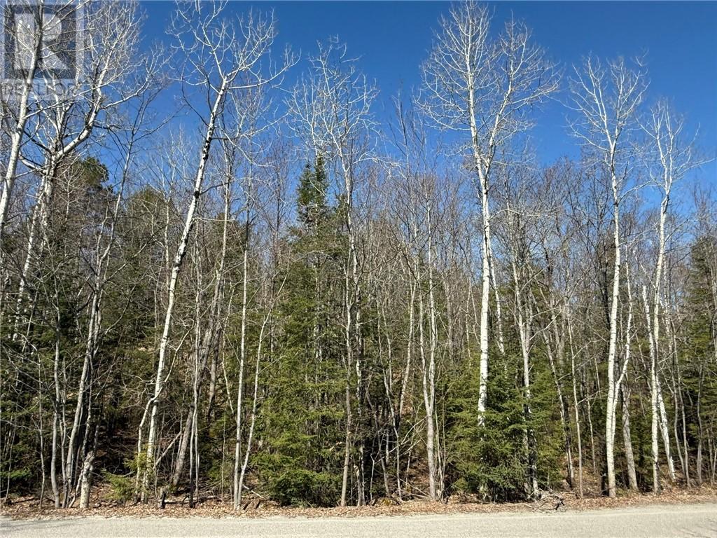 1155 A&b West Bay Road, Garson, Ontario  P3L 1V3 - Photo 25 - 2125789