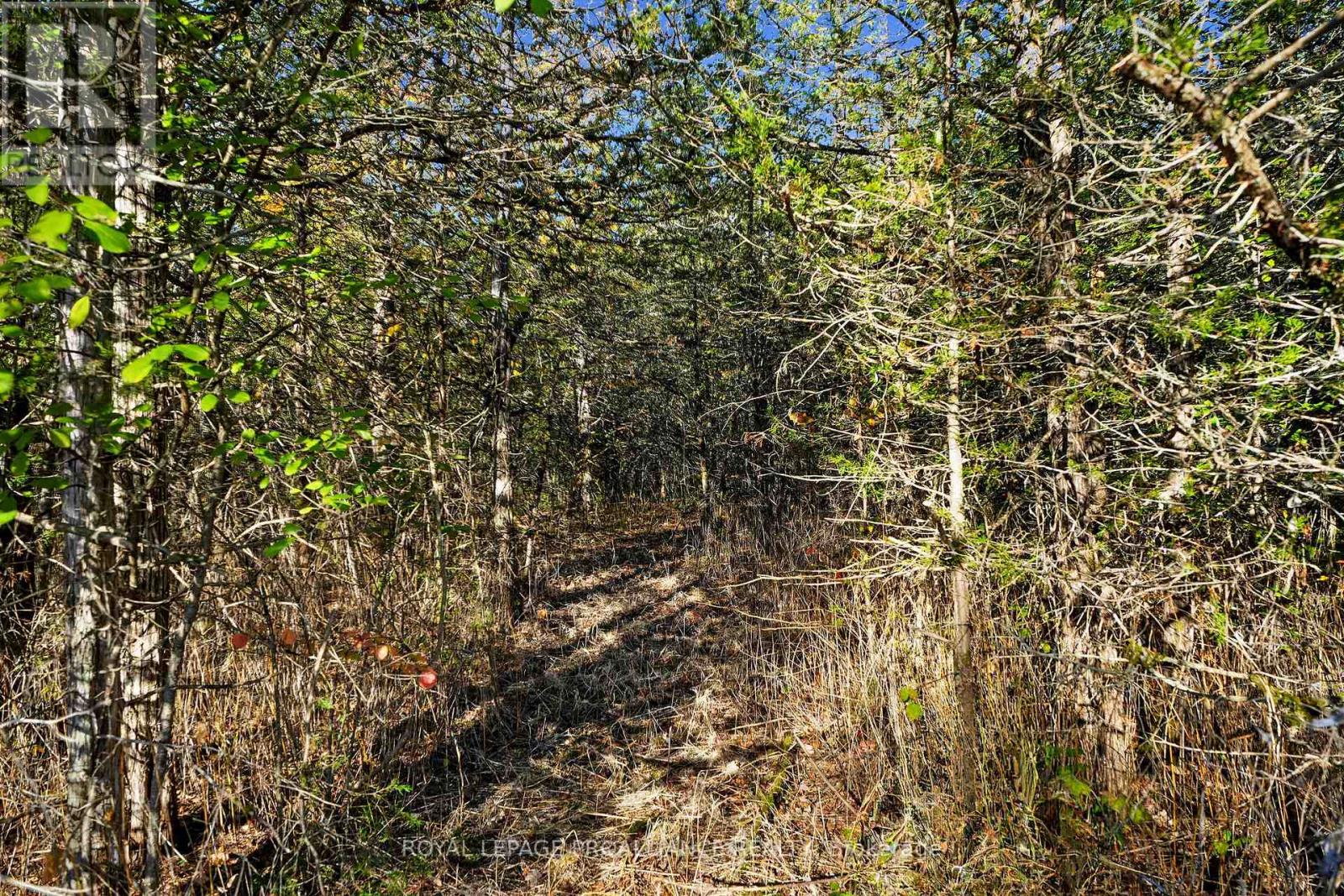 Lot 2 Hillside Drive, Trent Hills, Ontario  K0L 1L0 - Photo 28 - X12720392
