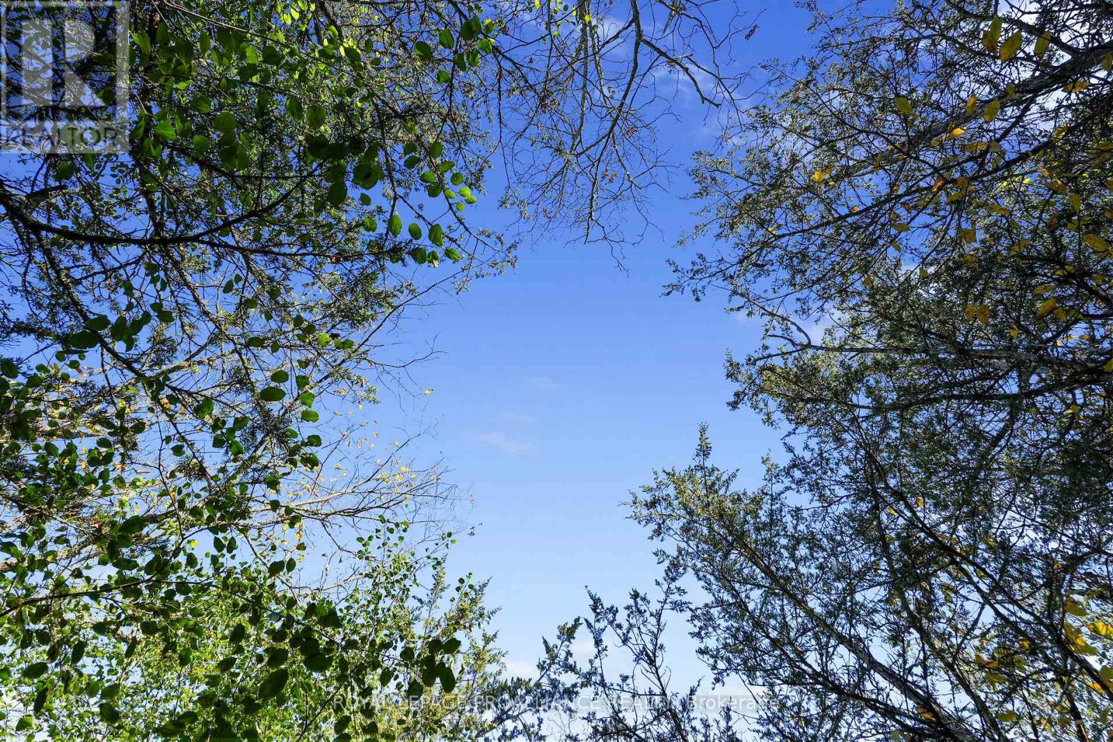 Lot 2 Hillside Drive, Trent Hills, Ontario  K0L 1L0 - Photo 30 - X12720392