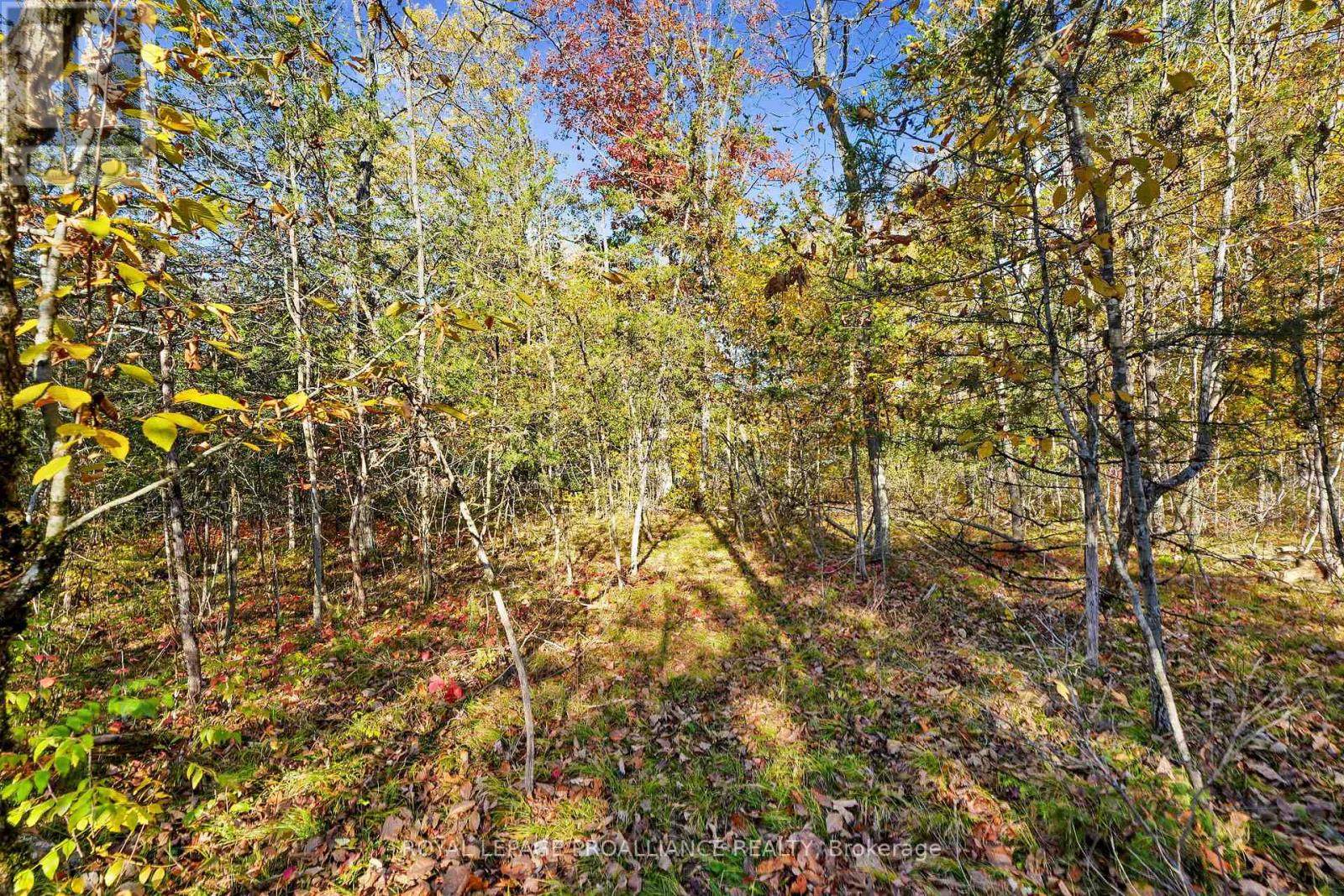Lot 2 Hillside Drive, Trent Hills, Ontario  K0L 1L0 - Photo 32 - X12720392