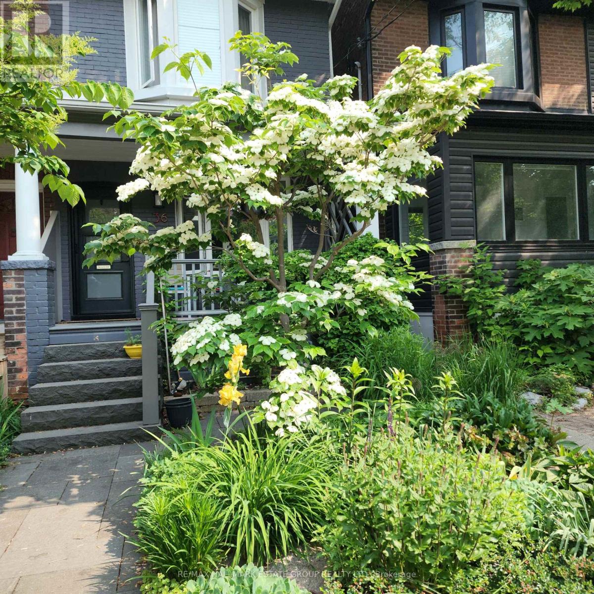 36 Hazelwood Avenue, Toronto, Ontario  M4J 1K5 - Photo 3 - E12720312