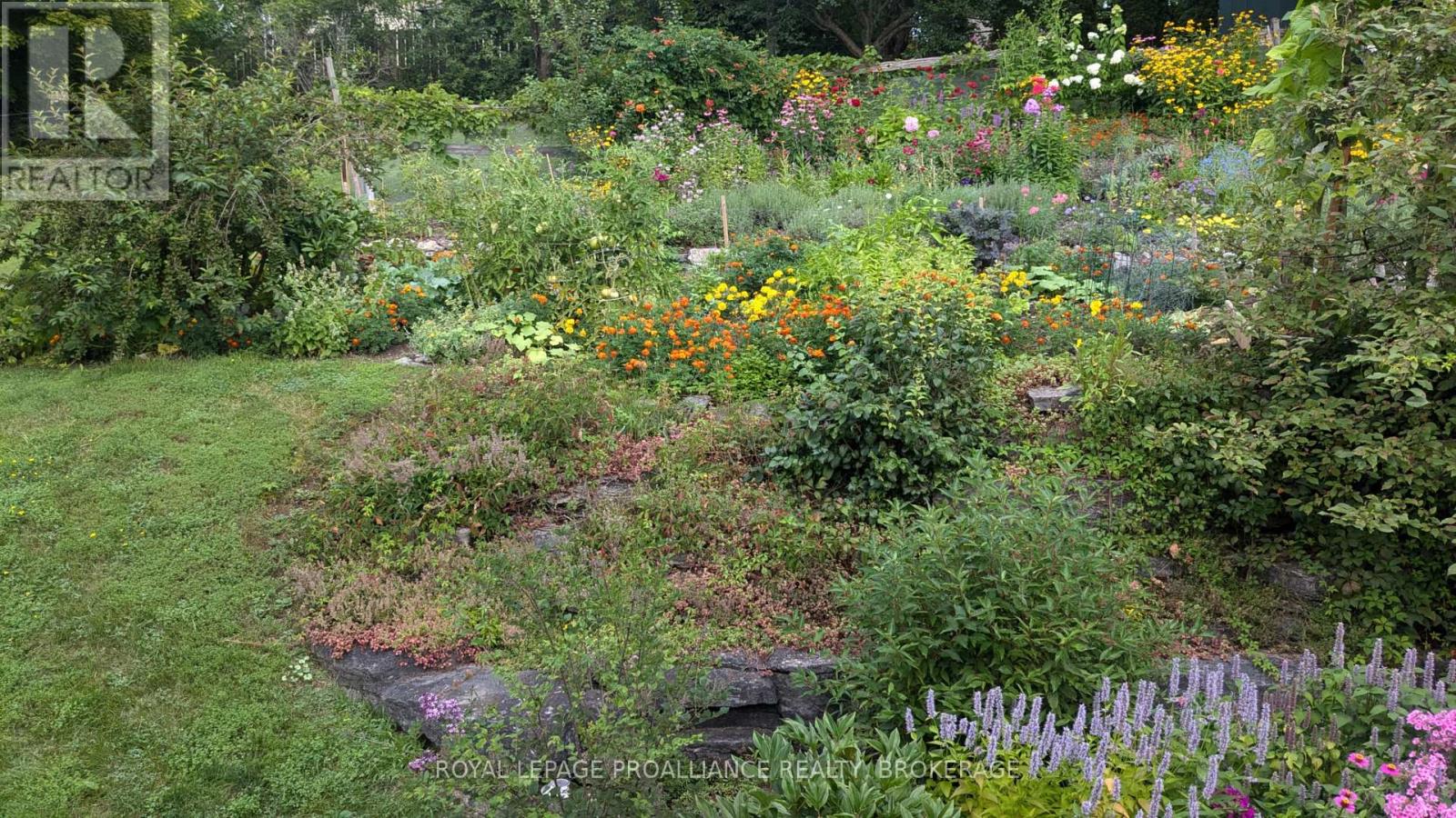 812 Hillside Drive, Kingston, Ontario K7M 5Y8 - Photo 43 - X12720416