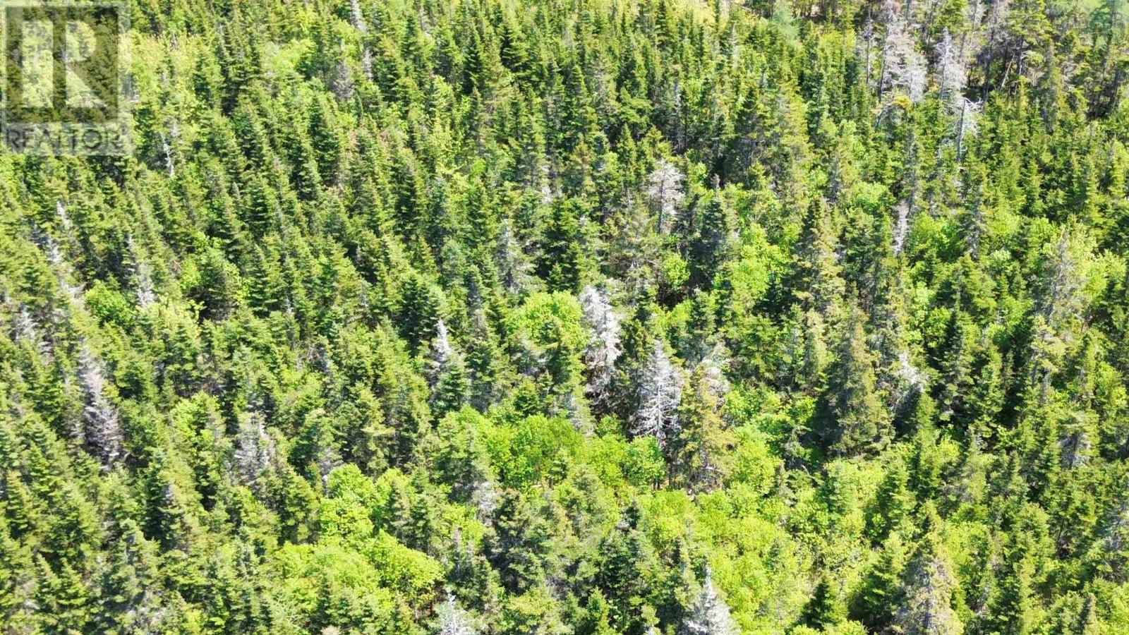 320 Highway, D'Escousse, Nova Scotia