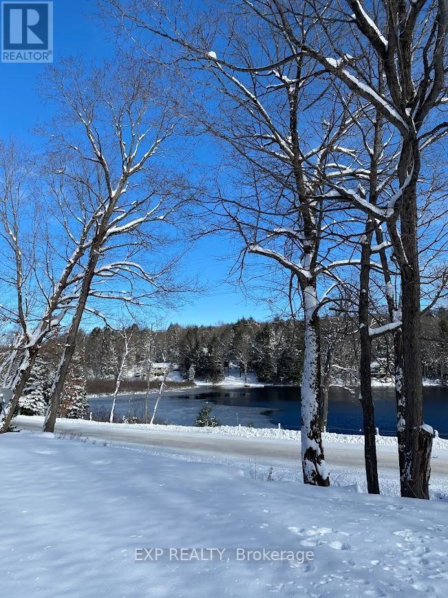 1867 Fraserburg Road, Bracebridge, Ontario  P1L 1X3 - Photo 24 - X12720368