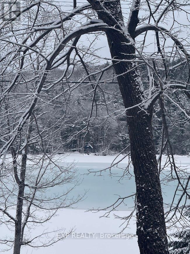 1867 Fraserburg Road, Bracebridge, Ontario  P1L 1X3 - Photo 25 - X12720368