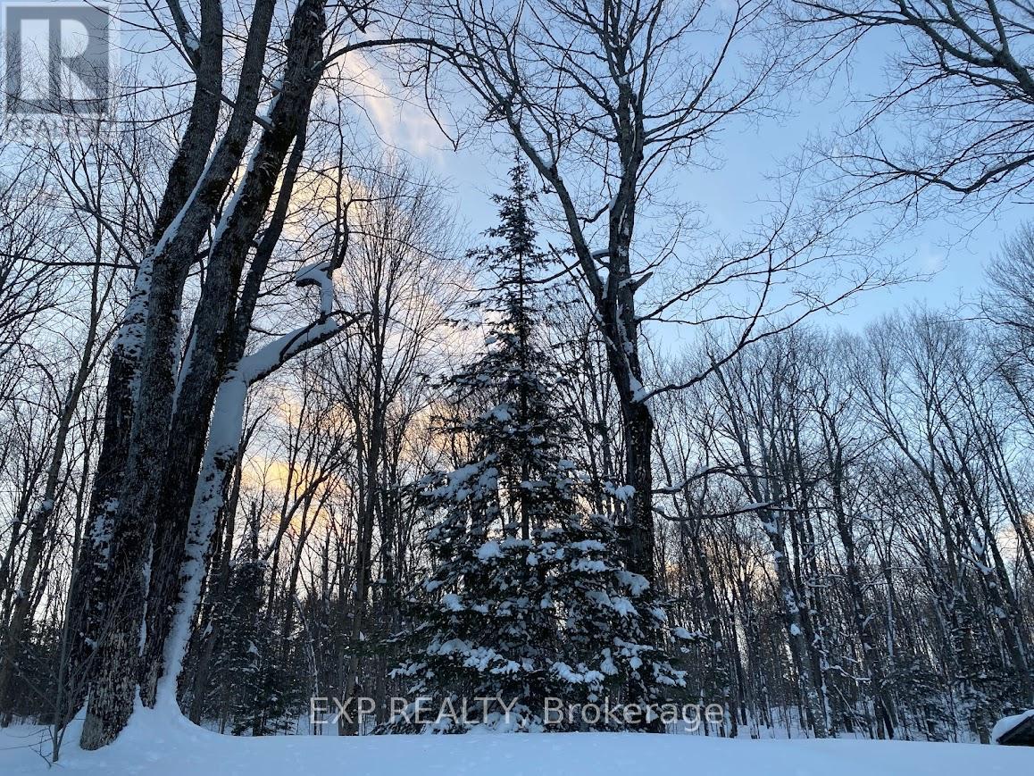 1867 Fraserburg Road, Bracebridge, Ontario  P1L 1X3 - Photo 26 - X12720368