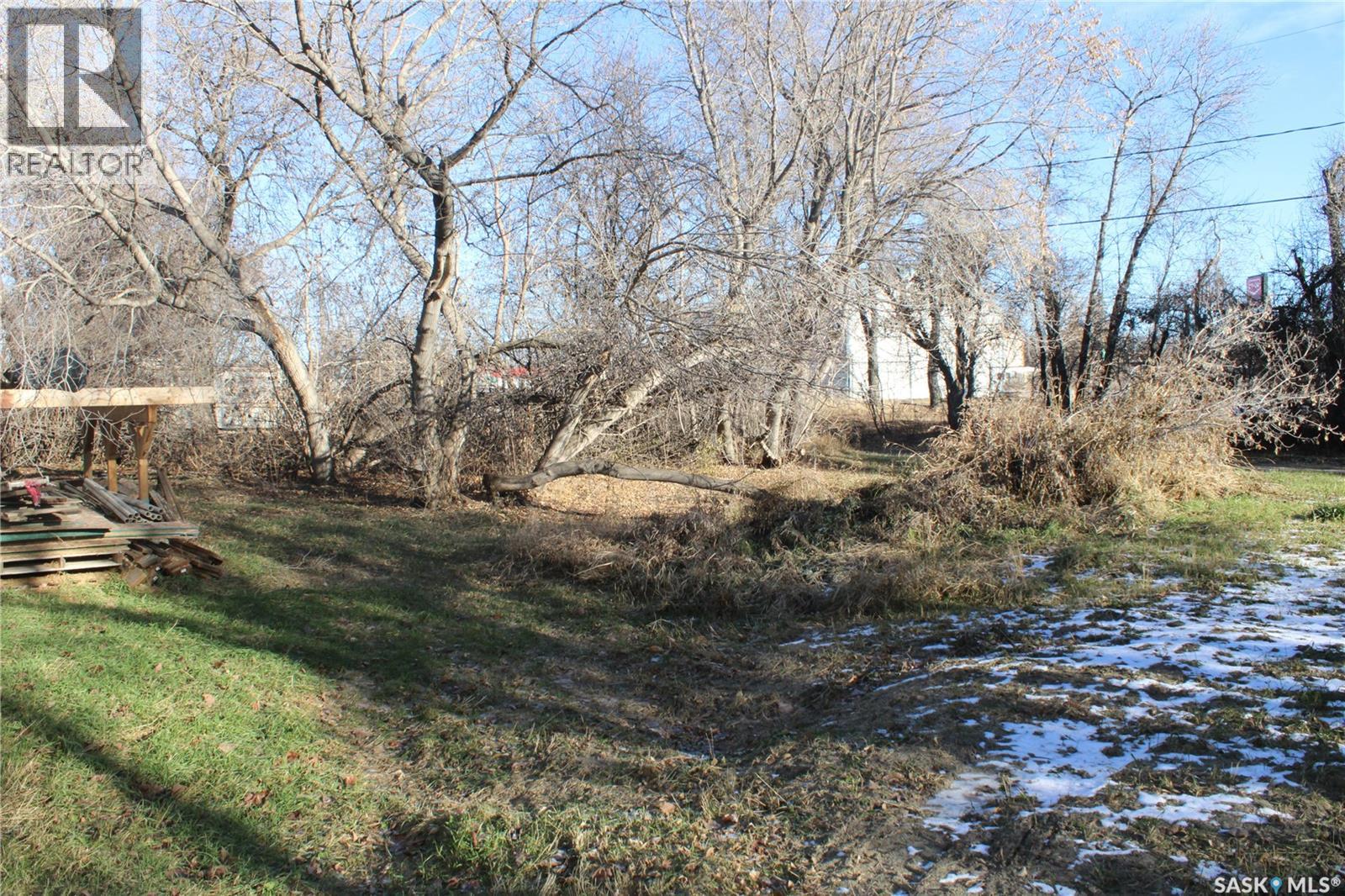 78 1st Street Sw, Wadena, Saskatchewan  S0A 4J0 - Photo 15 - SK027234