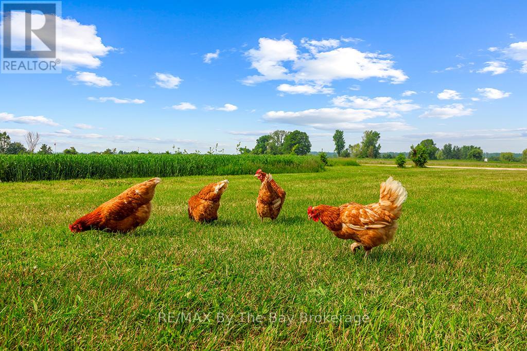 828482 Mulmur Nottawasaga Townline, Mulmur, Ontario  L9V 0Y9 - Photo 10 - X12393691