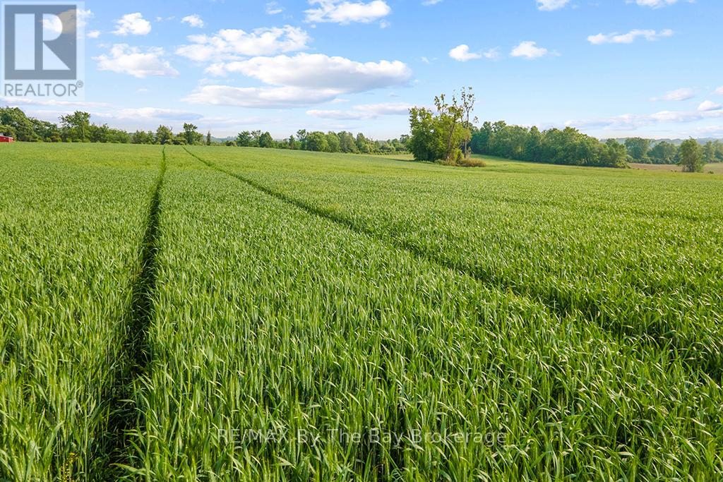 828482 Mulmur Nottawasaga Townline, Mulmur, Ontario  L9V 0Y9 - Photo 36 - X12393691