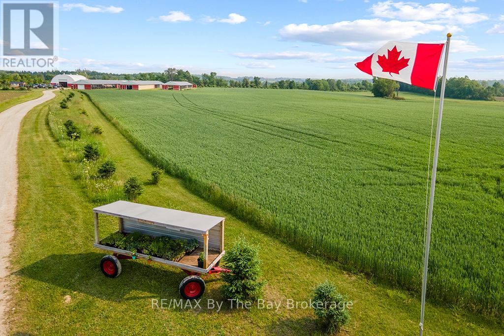 828482 Mulmur Nottawasaga Townline, Mulmur, Ontario  L9V 0Y9 - Photo 9 - X12393691
