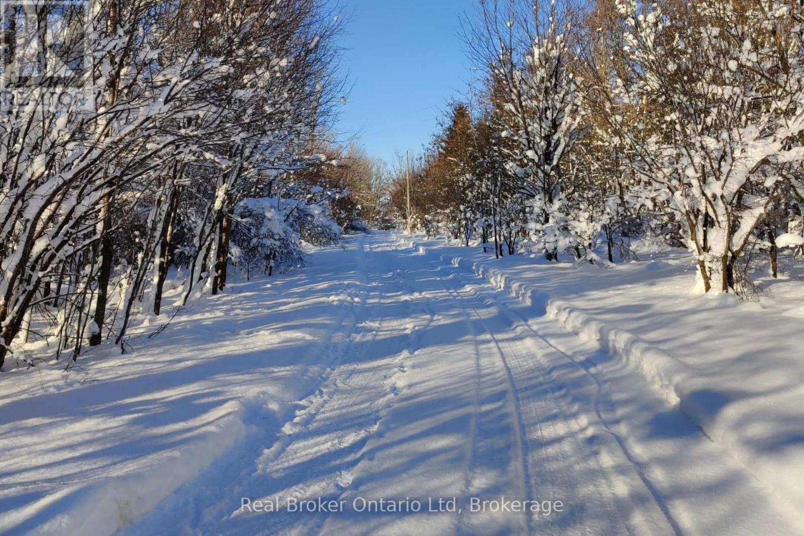 46447 Old Mail Road, Meaford, Ontario N4L 1W7 - Photo 3 - X12720530