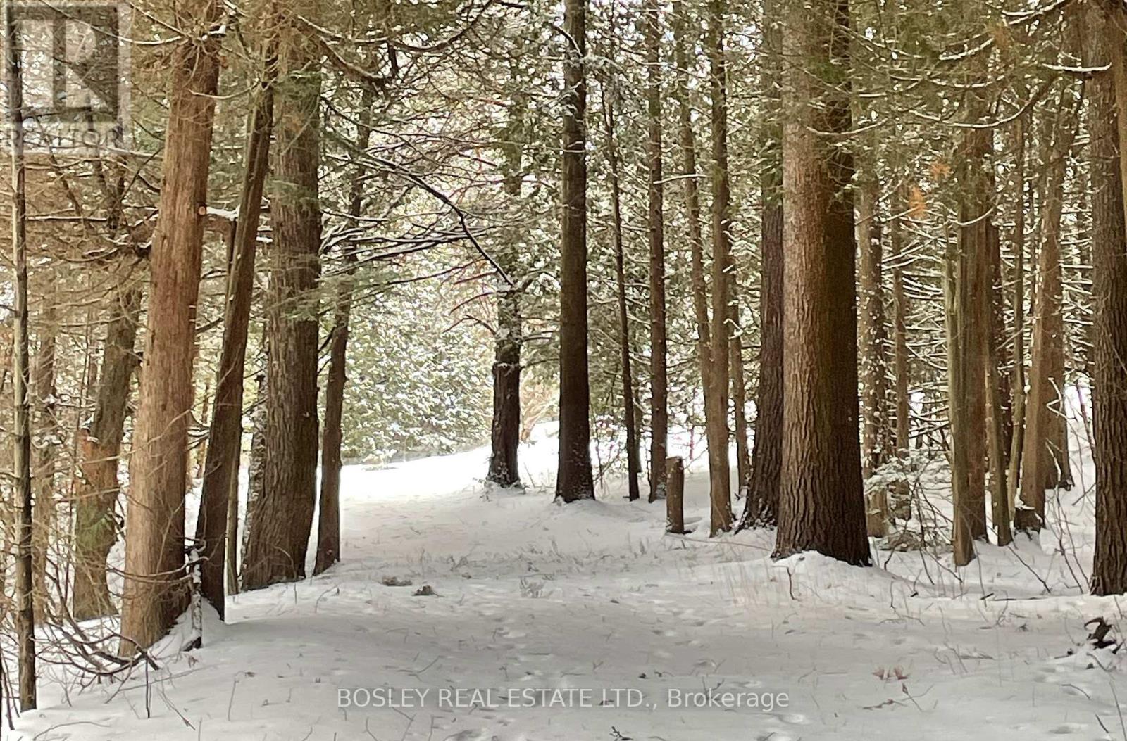 3055 Sawmill Road, Port Hope, Ontario  L1A 3V7 - Photo 11 - X12389275