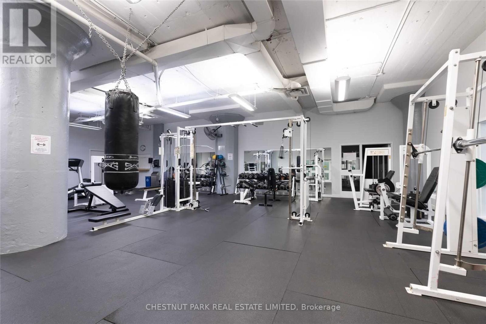 1013 - 155 Dalhousie Street, Toronto, Ontario  M5B 2P7 - Photo 38 - C12720656