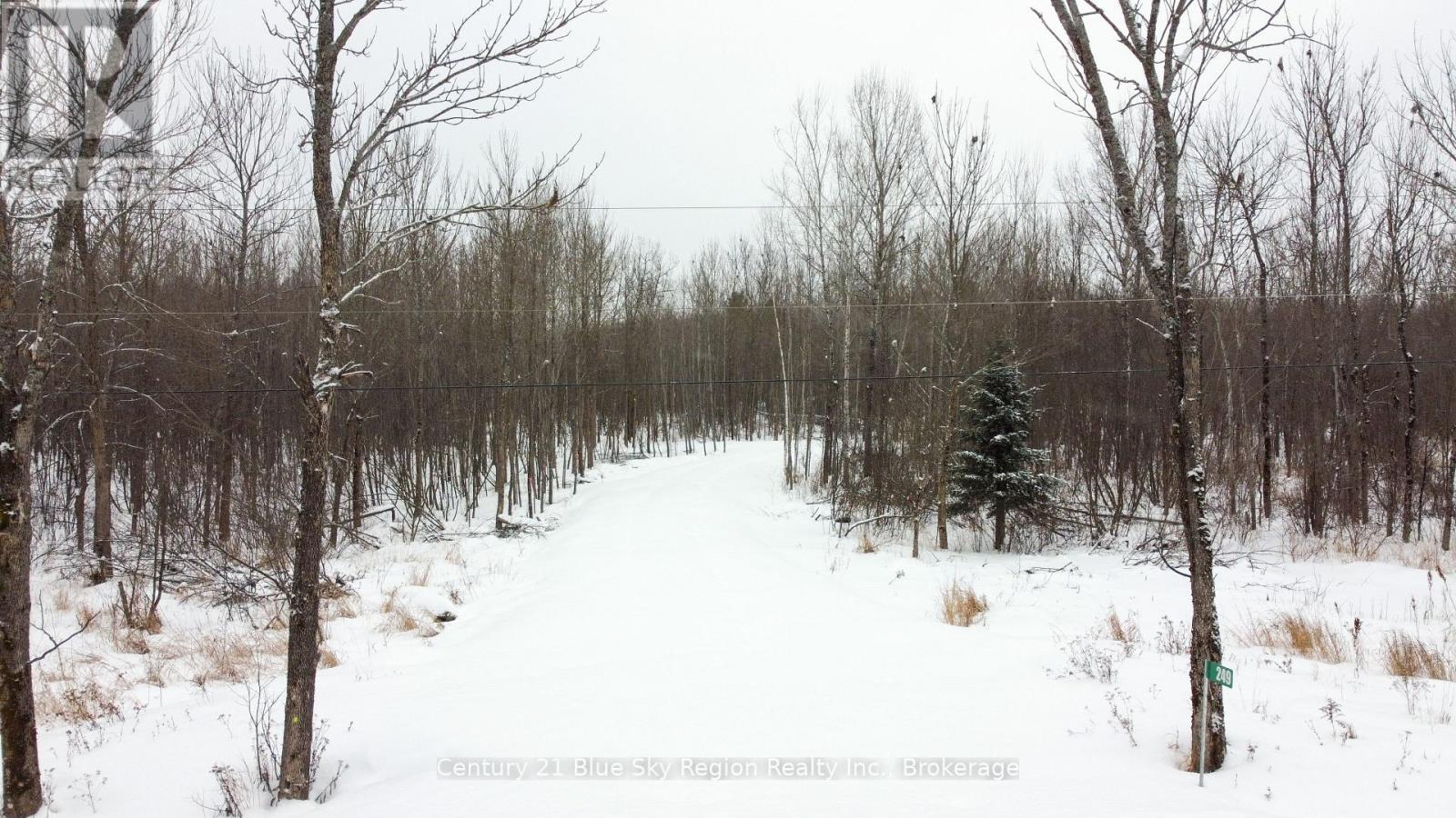 249 Hills Siding Road, Callander, Ontario  P0K 1H0 - Photo 4 - X12677018