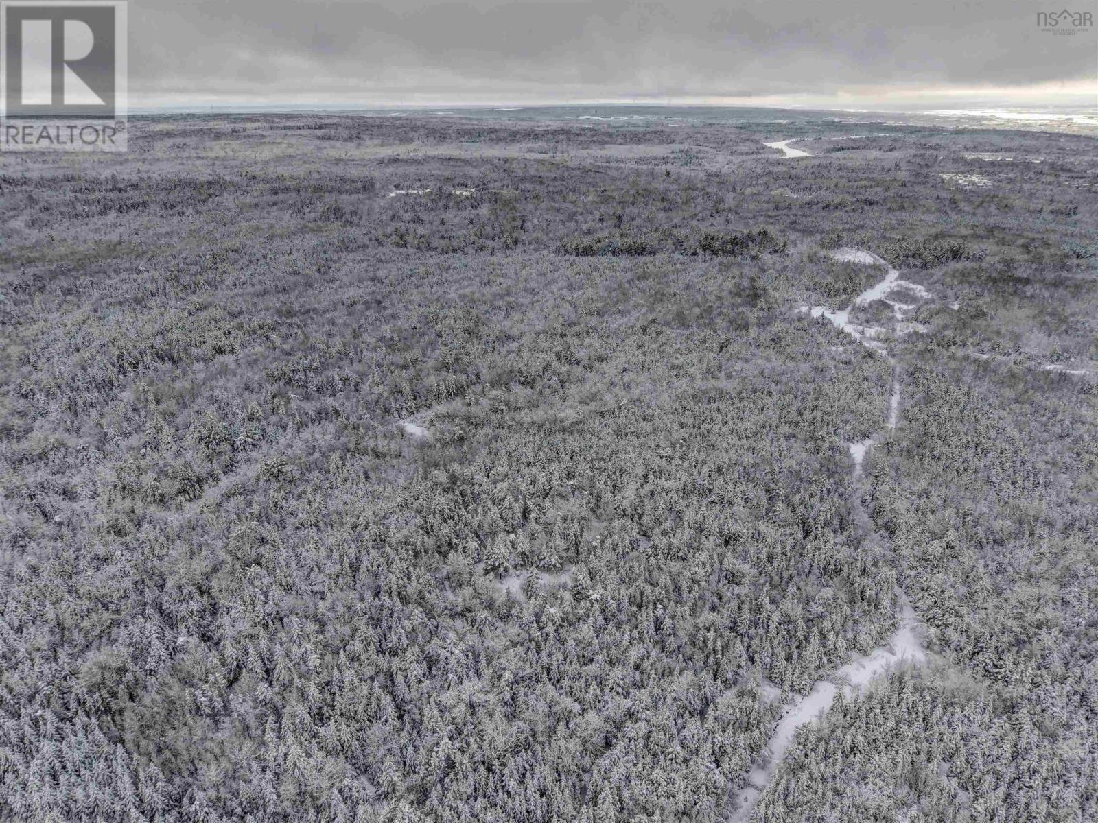 Harmony Road, Harmony, Nova Scotia  B2N 4X8 - Photo 10 - 202600690