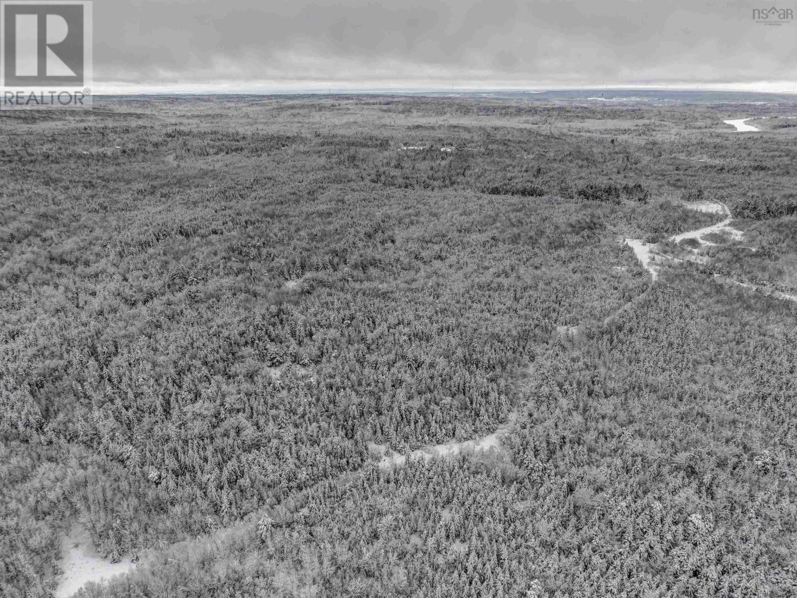 Harmony Road, Harmony, Nova Scotia  B2N 4X8 - Photo 11 - 202600690