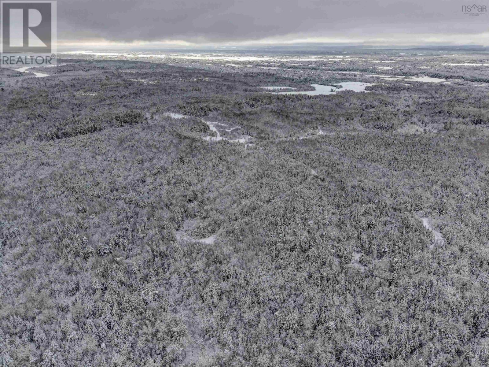 Harmony Road, Harmony, Nova Scotia  B2N 4X8 - Photo 9 - 202600690
