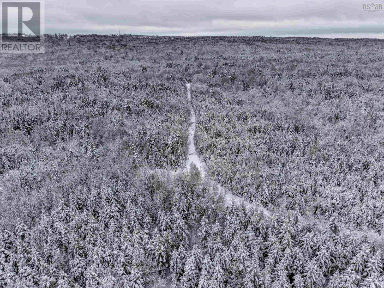 Harmony Road, Harmony, Nova Scotia  B2N 4X8 - Photo 4 - 202600690