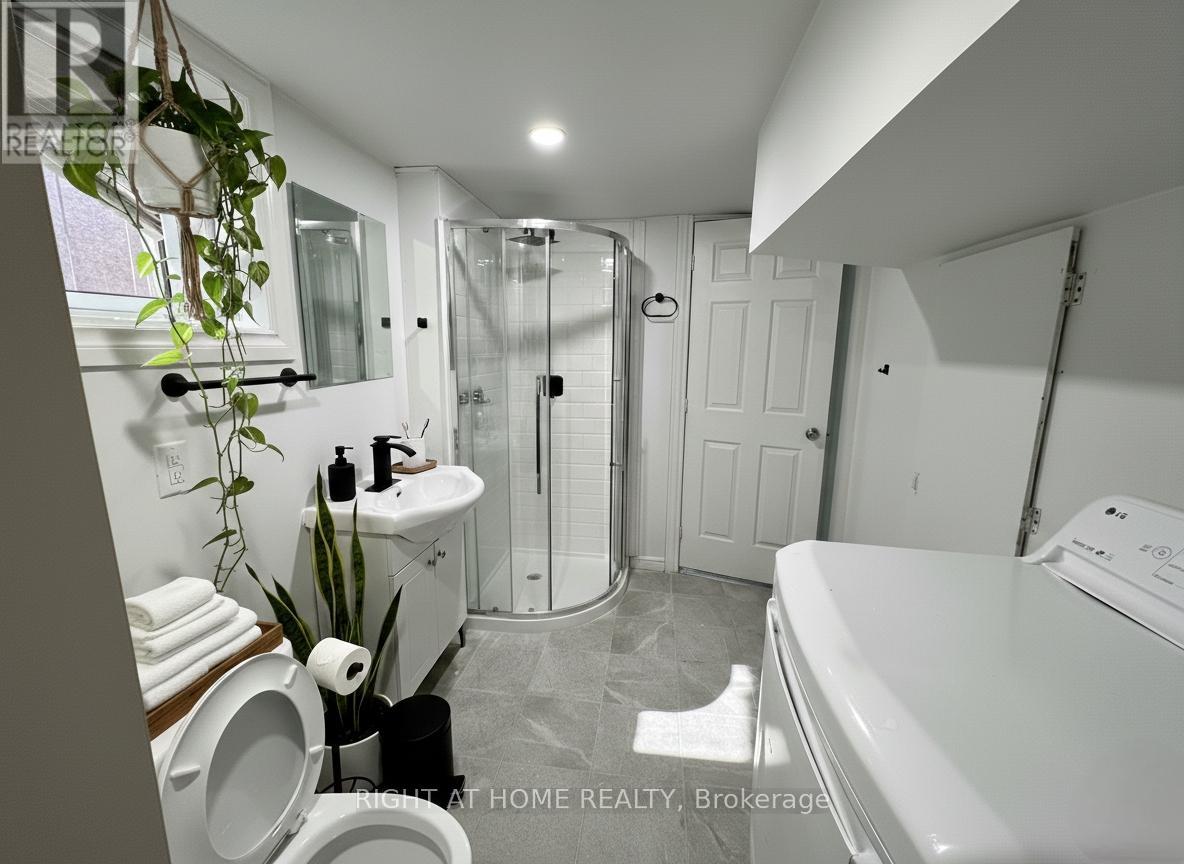 Bsmnt - 1395 Dougall Avenue, Windsor, Ontario  N8X 1R6 - Photo 10 - X12720628