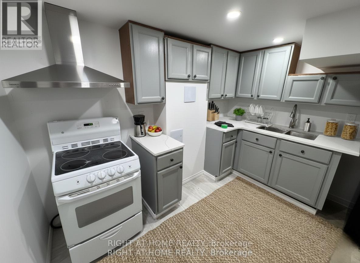 Bsmnt - 1395 Dougall Avenue, Windsor, Ontario  N8X 1R6 - Photo 5 - X12720628