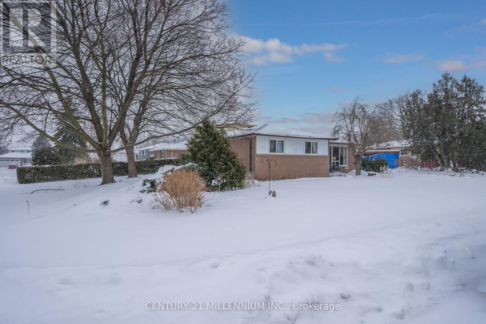 7 Drayton Crescent, Brampton, Ontario  L6T 3G6 - Photo 3 - W12719086