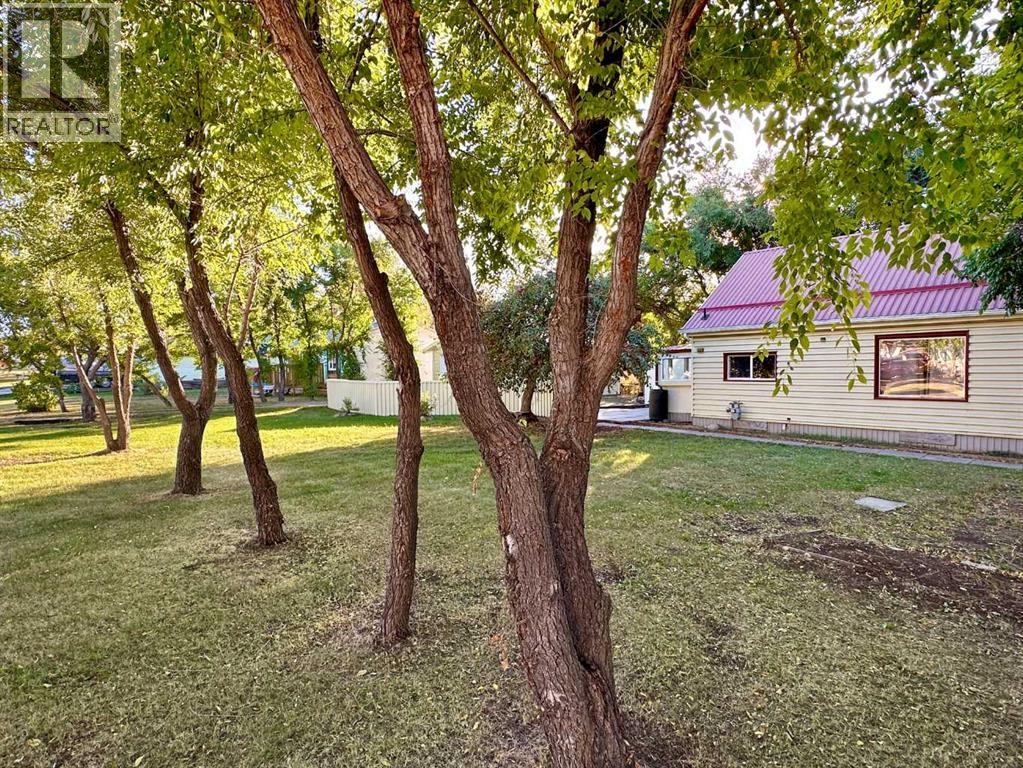 4801 50 Avenue, Mayerthorpe, Alberta  T0E 1N0 - Photo 25 - A2276914