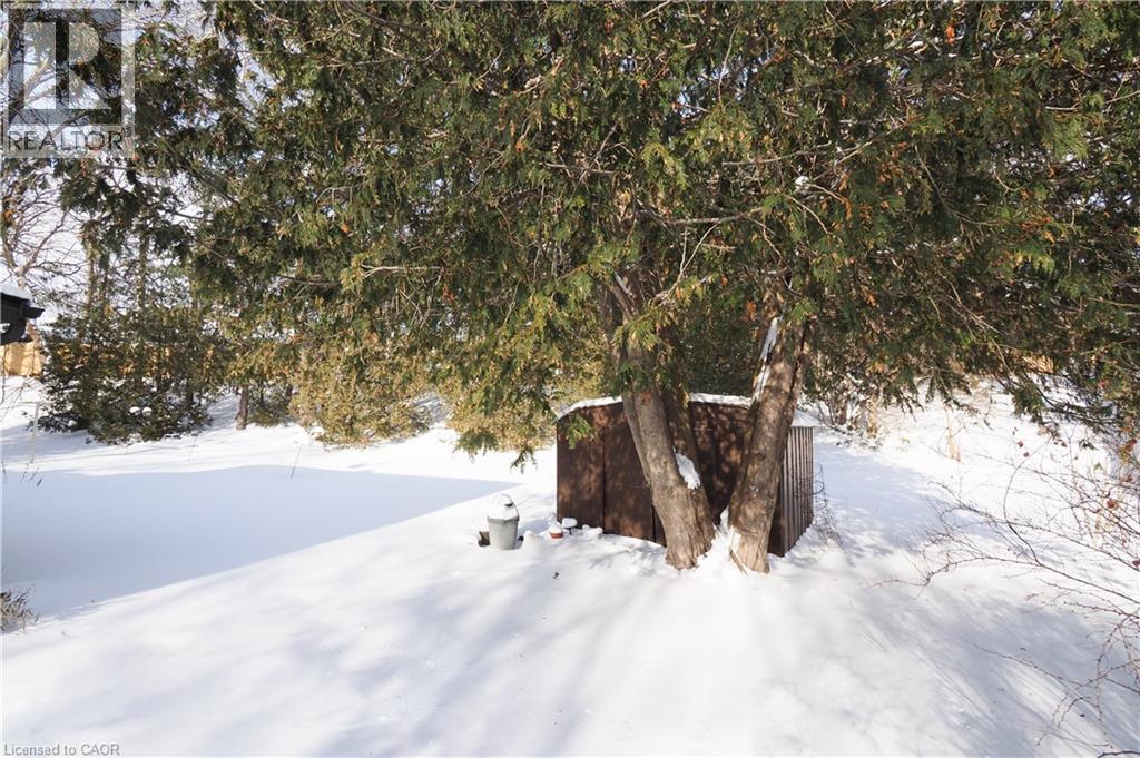 249 Murdock Avenue, Waterloo, Ontario  N2J 2M6 - Photo 39 - 40800161