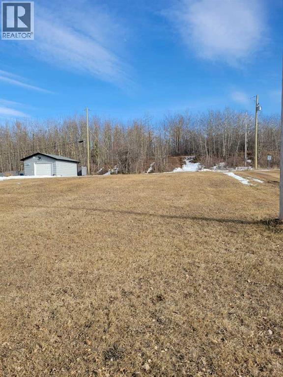 5414 3rd Ave East Avenue, Boyle, Alberta  T0A 0M0 - Photo 2 - A2200268