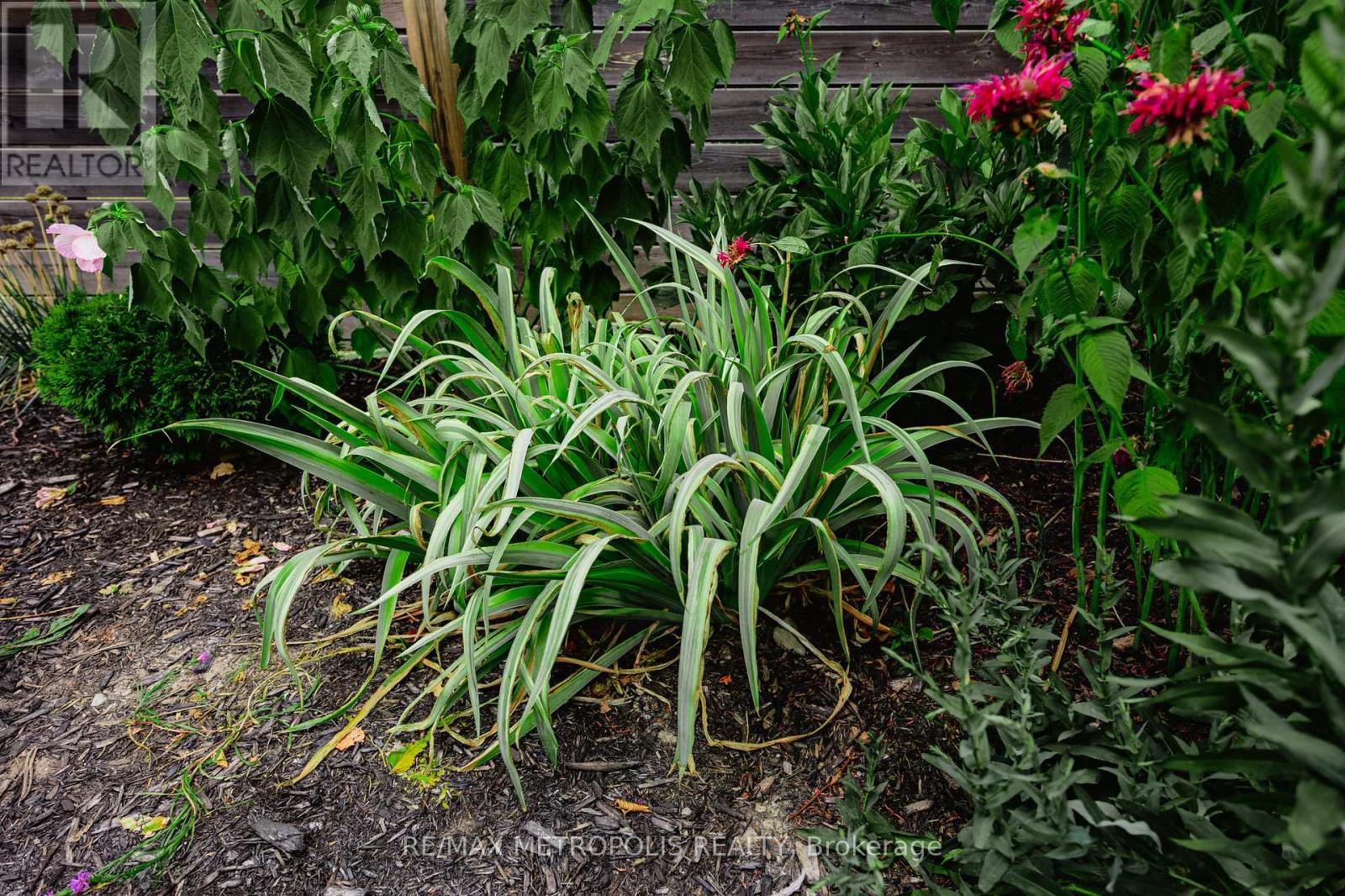 7 Cherry Lane, New Tecumseth, Ontario  L9R 0M1 - Photo 38 - N12721134