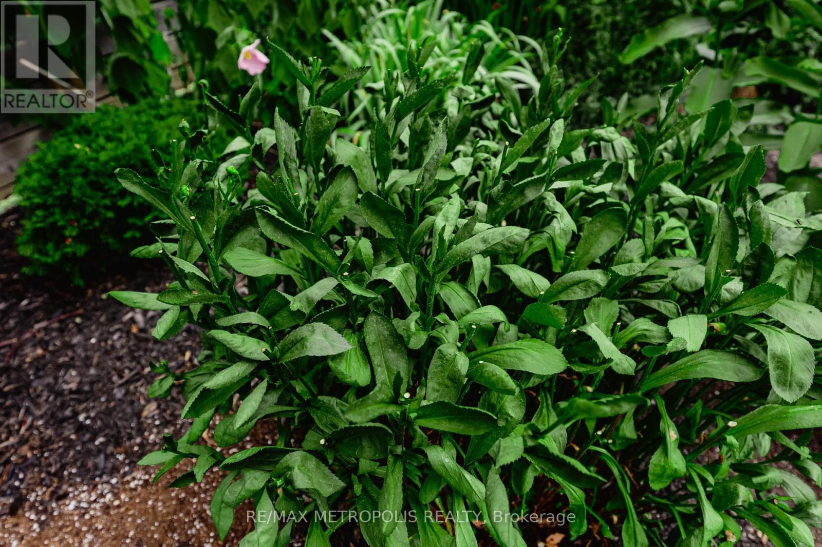 7 Cherry Lane, New Tecumseth, Ontario  L9R 0M1 - Photo 43 - N12721134