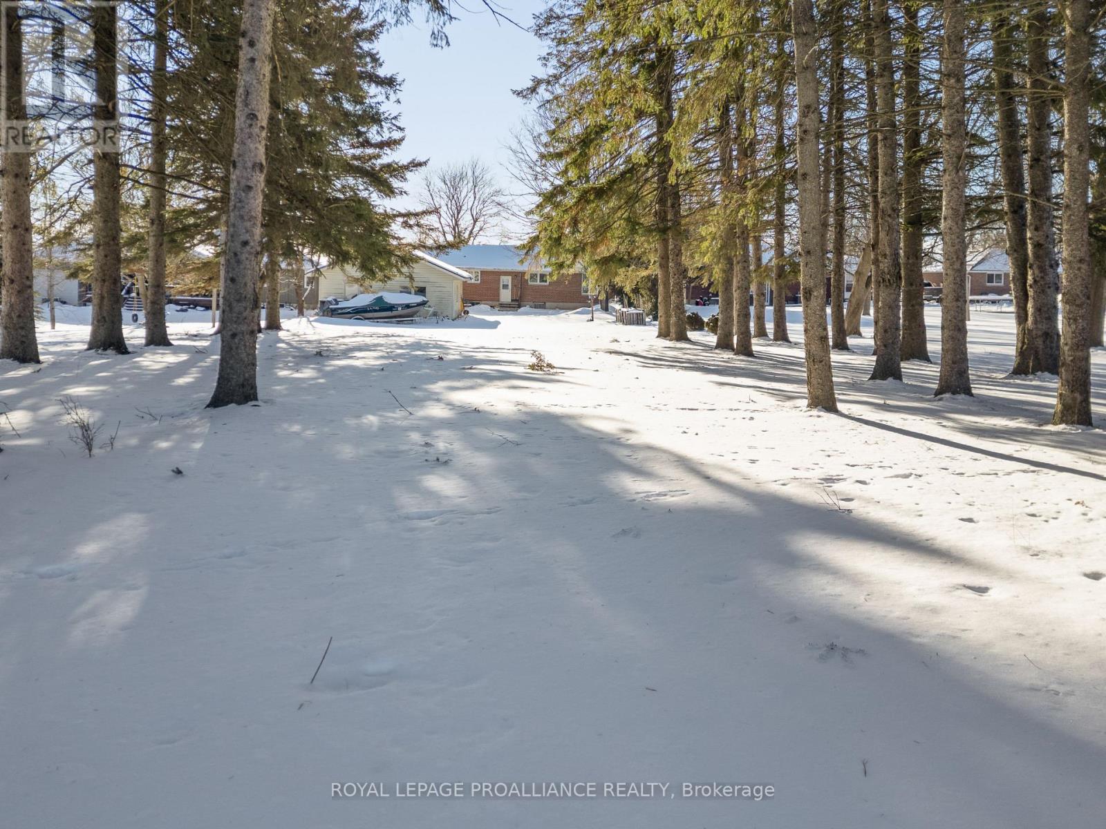 282 Church Street, Stirling-Rawdon, Ontario  K0K 3E0 - Photo 33 - X12721298